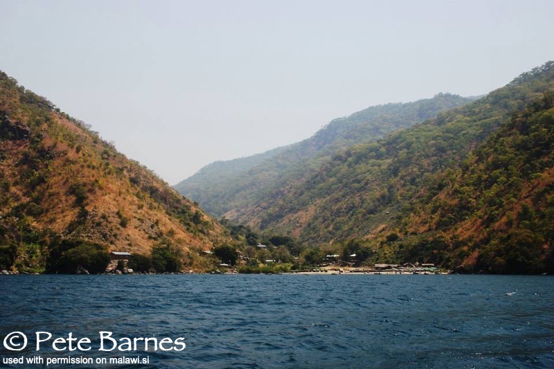 Lion's Cove 02